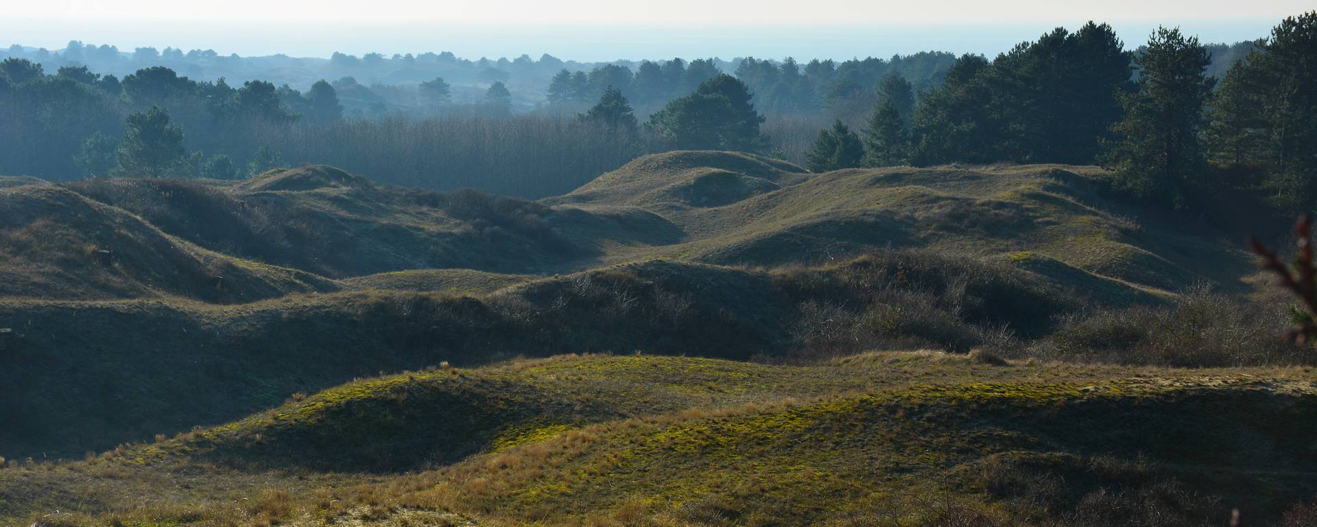 Mont Saint-Frieux