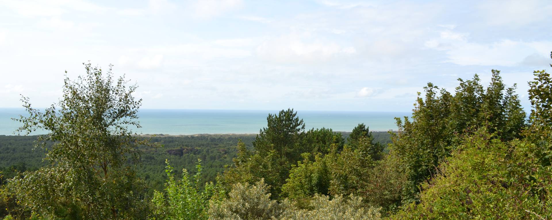 Mont Saint-Frieux