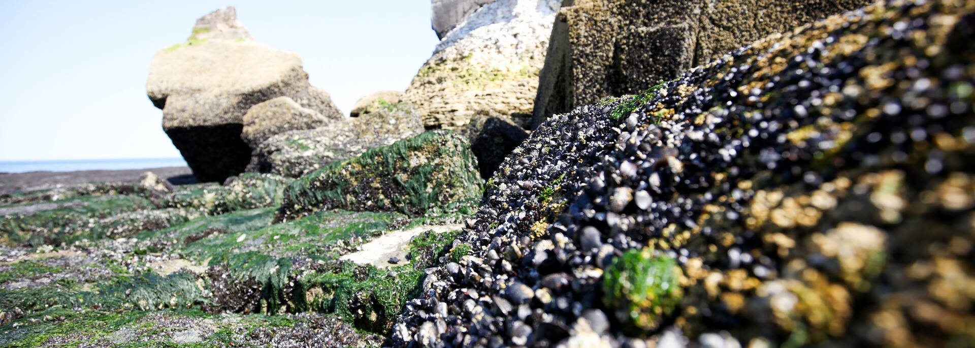 Pêche au Fort de l'Heurt