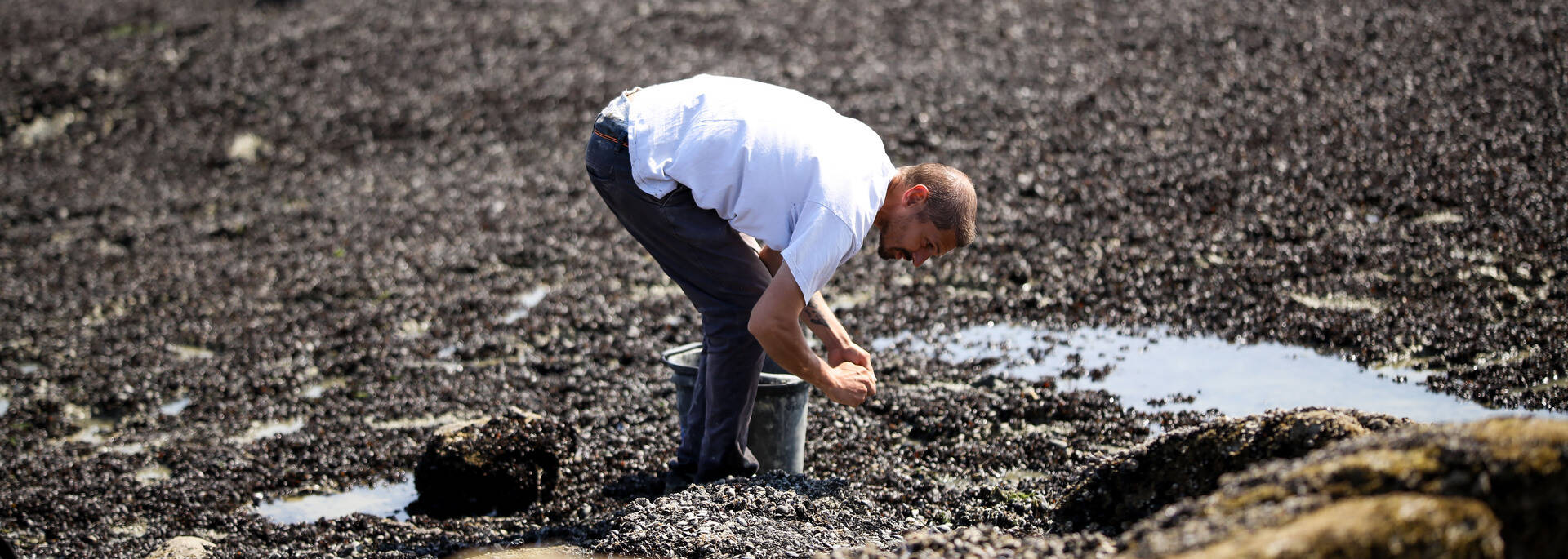 Pêche au Fort de l'Heurt