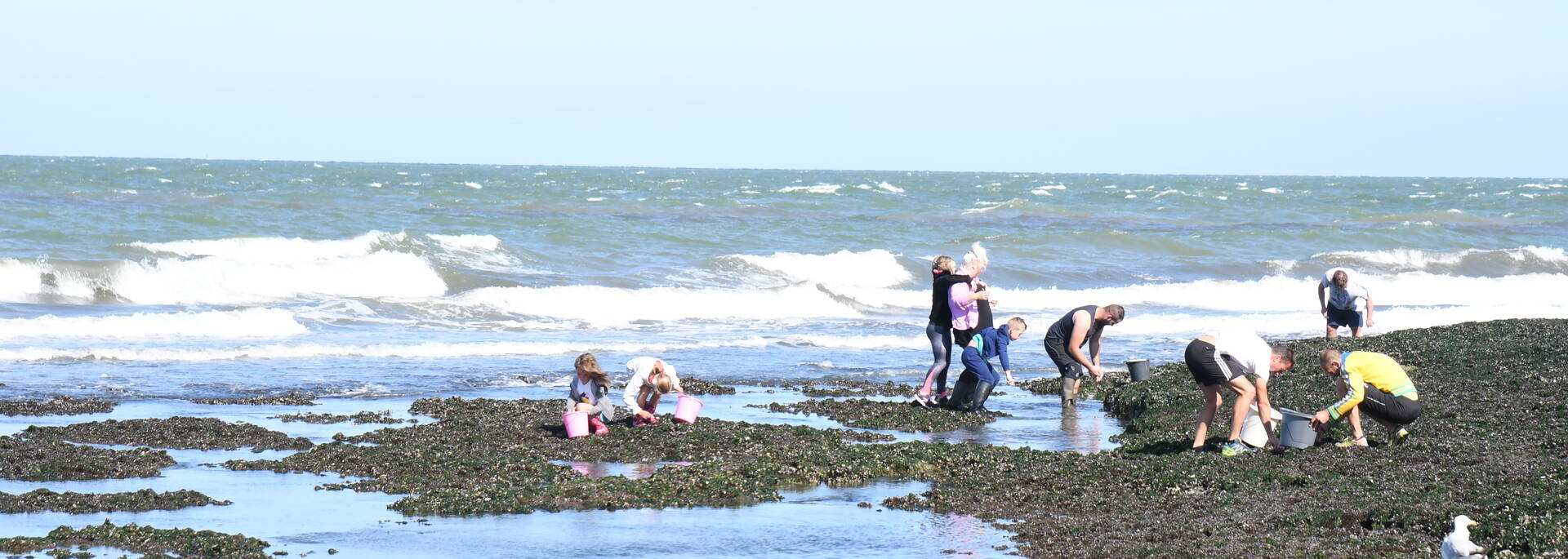 Pêche à pied à Le Portel 