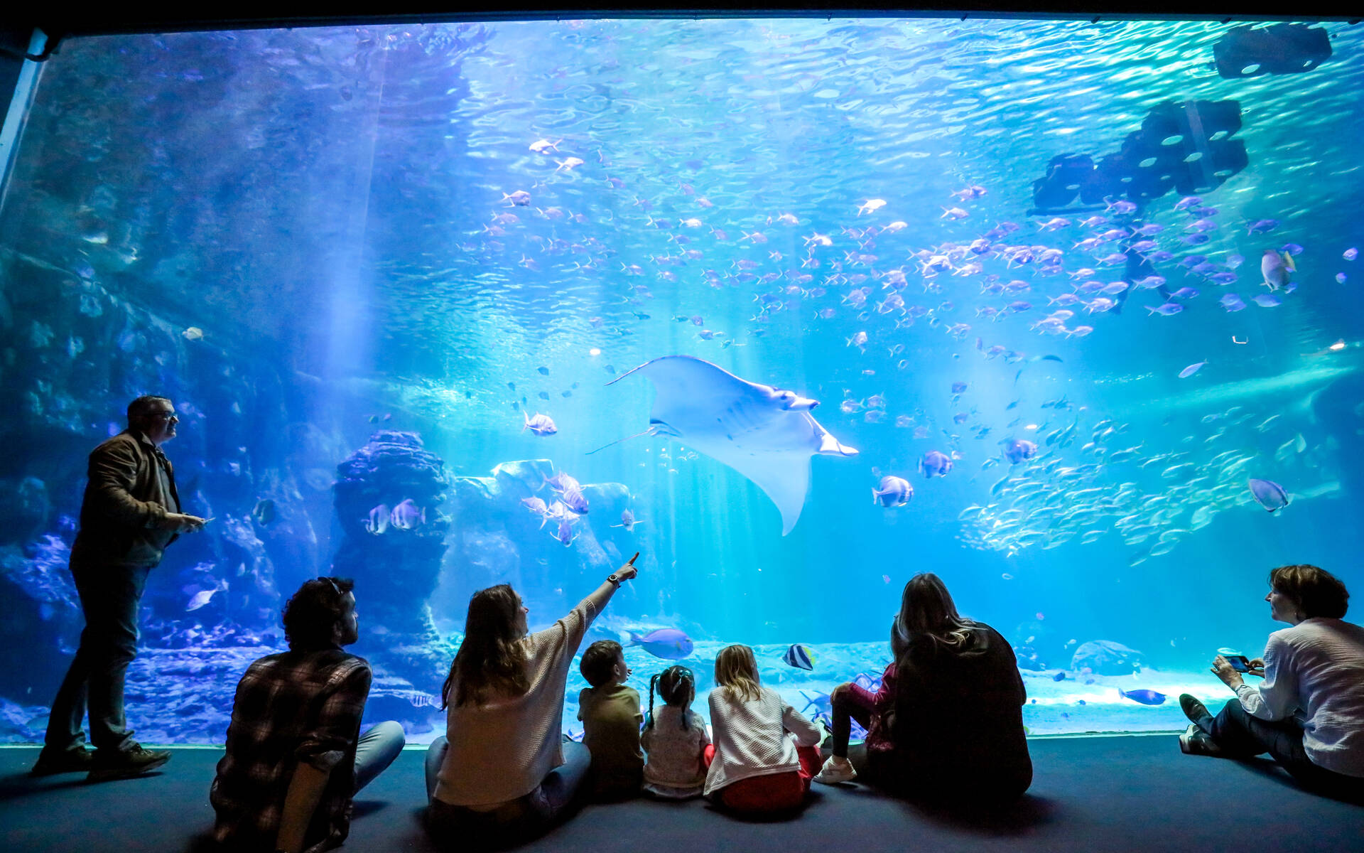 Grande Baie de Nausicaá