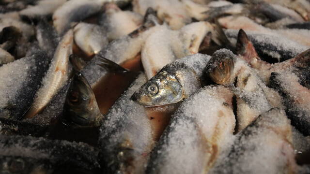 Maison de salaison - Corrue