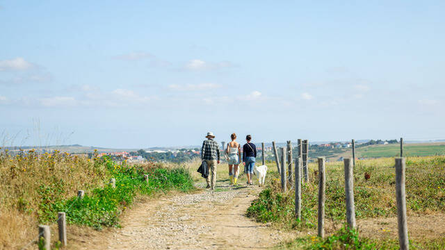 Pointe de la crèche