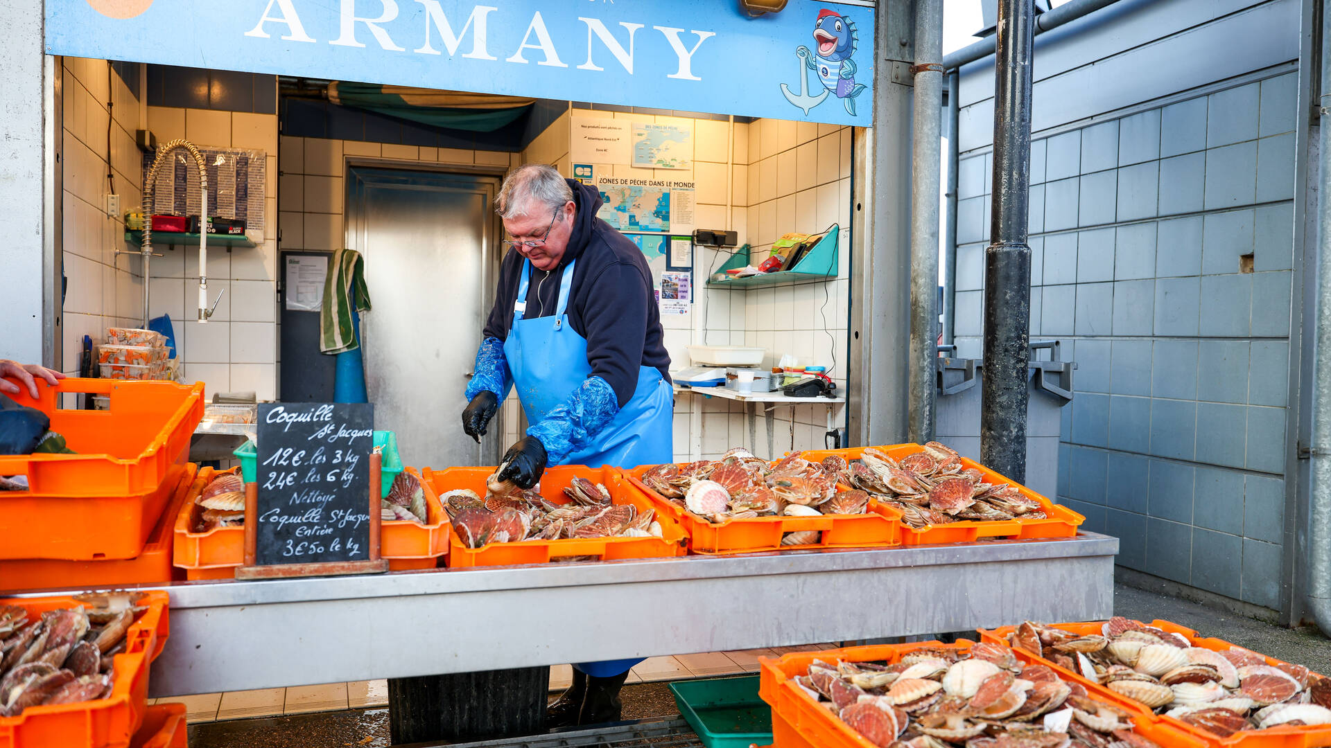 Coquilles St Jacques sur le port