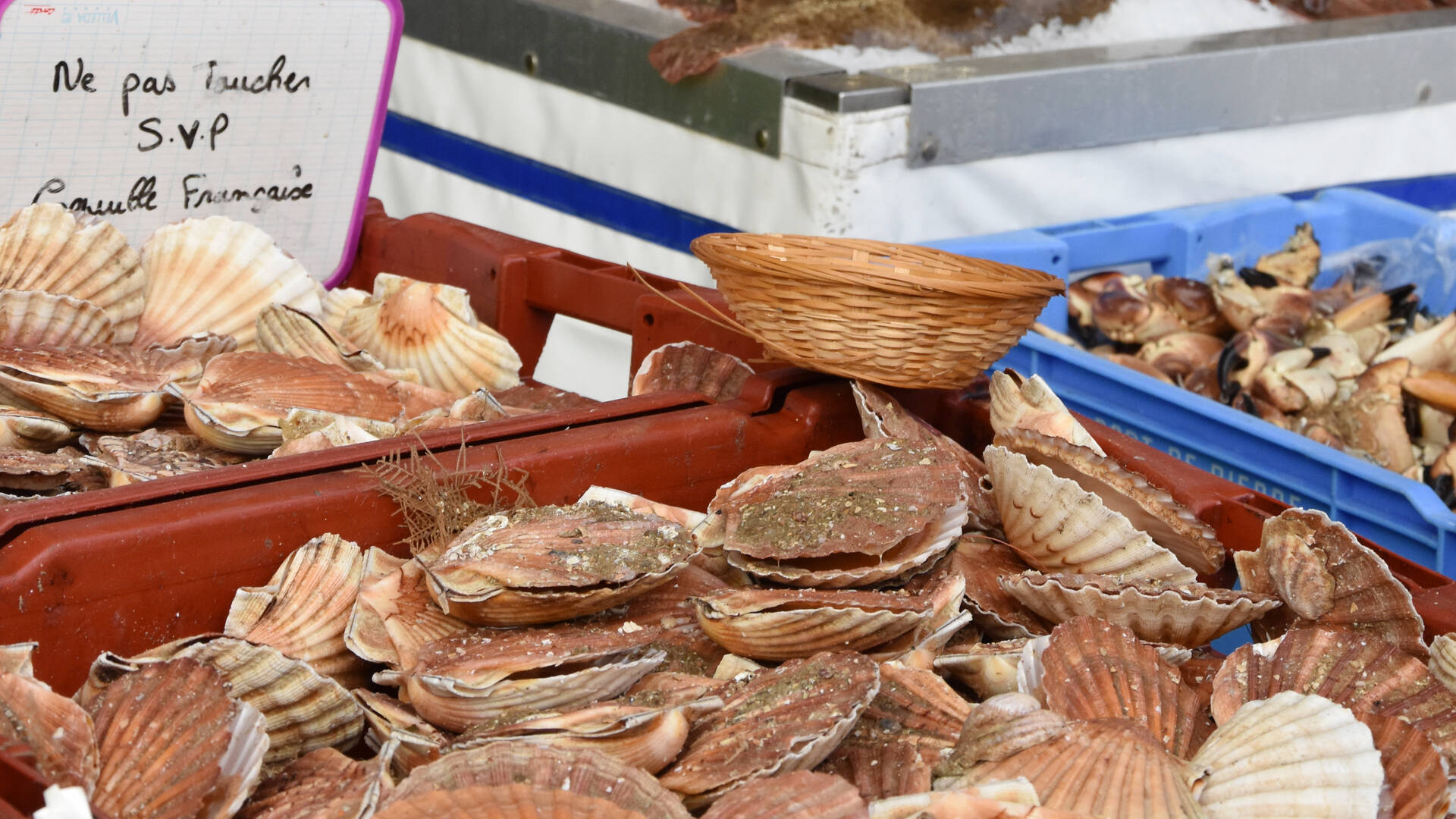 Etals de poisson
