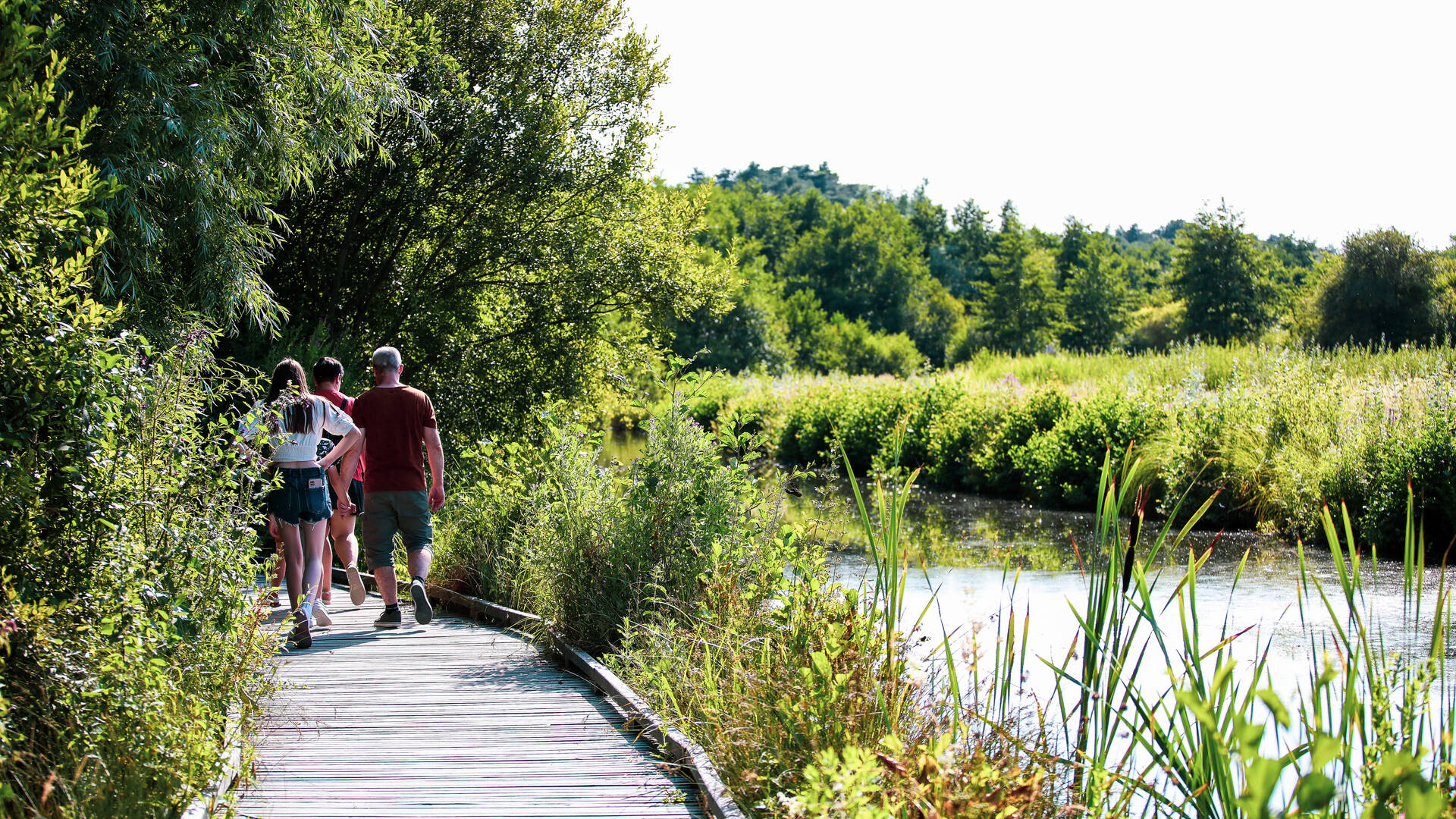 Lac des Miroirs - Condette