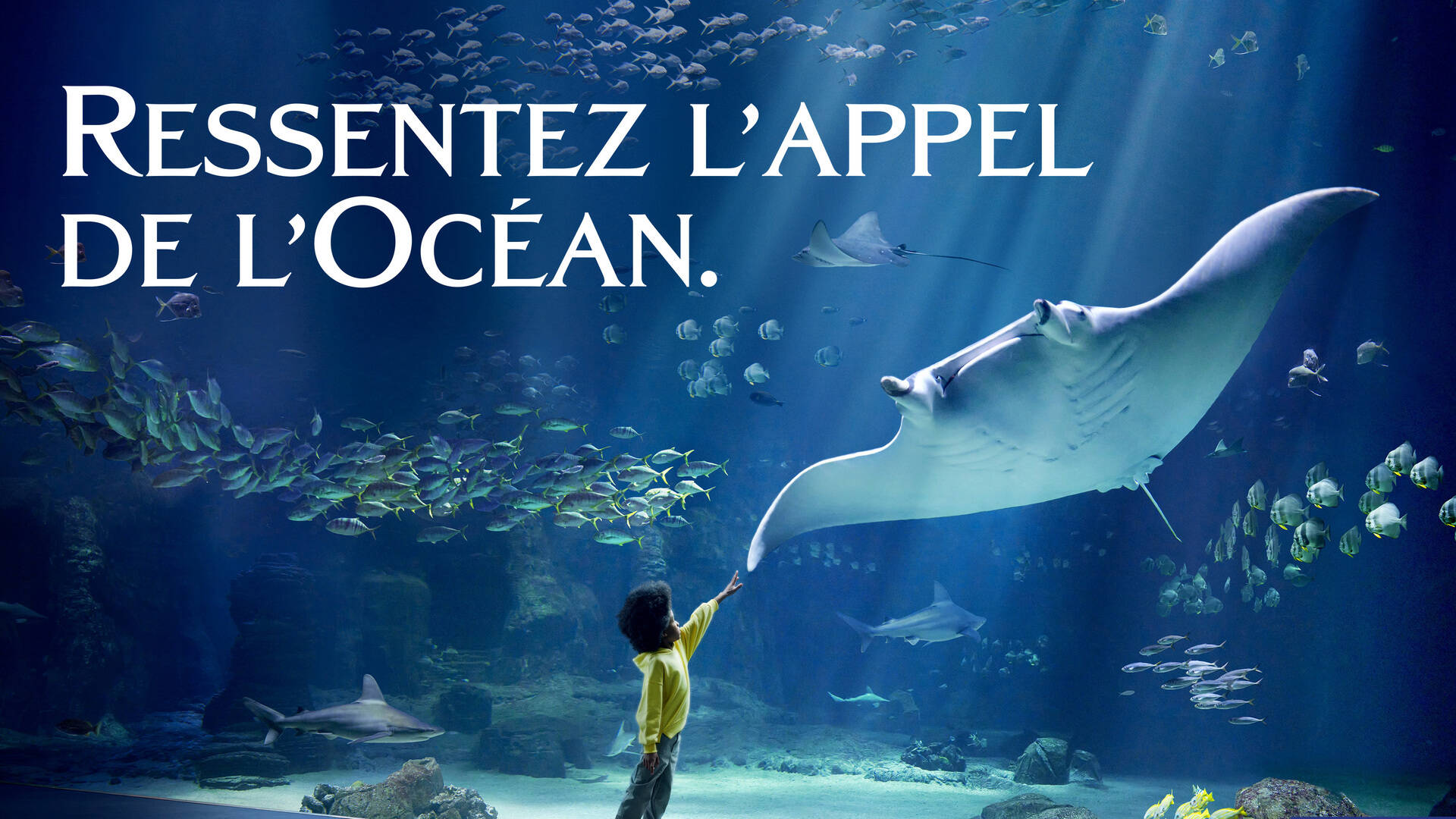ressentez l'appel de l'océan