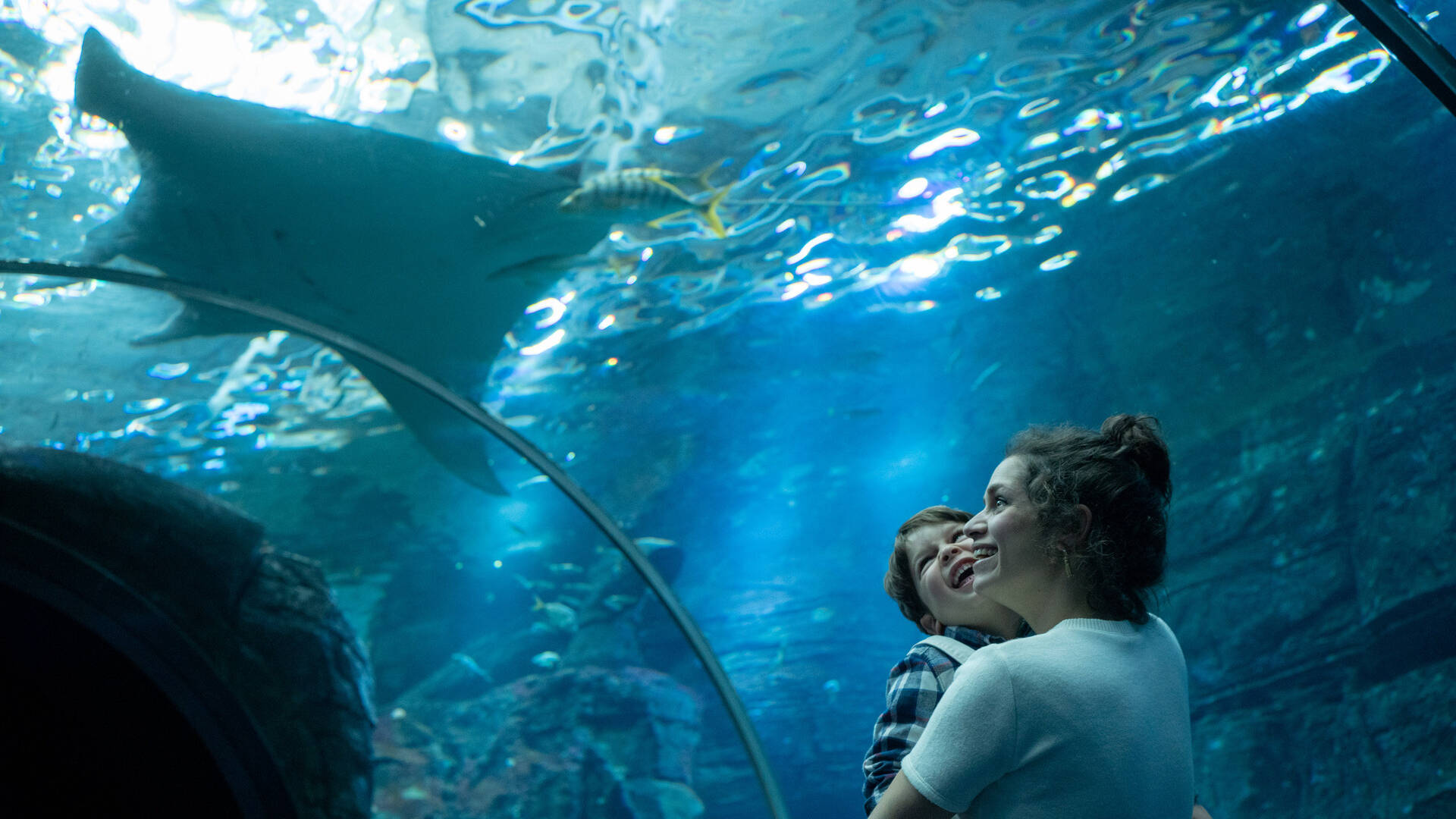 tunnel_haute_mer-h-lamblin-iconocom