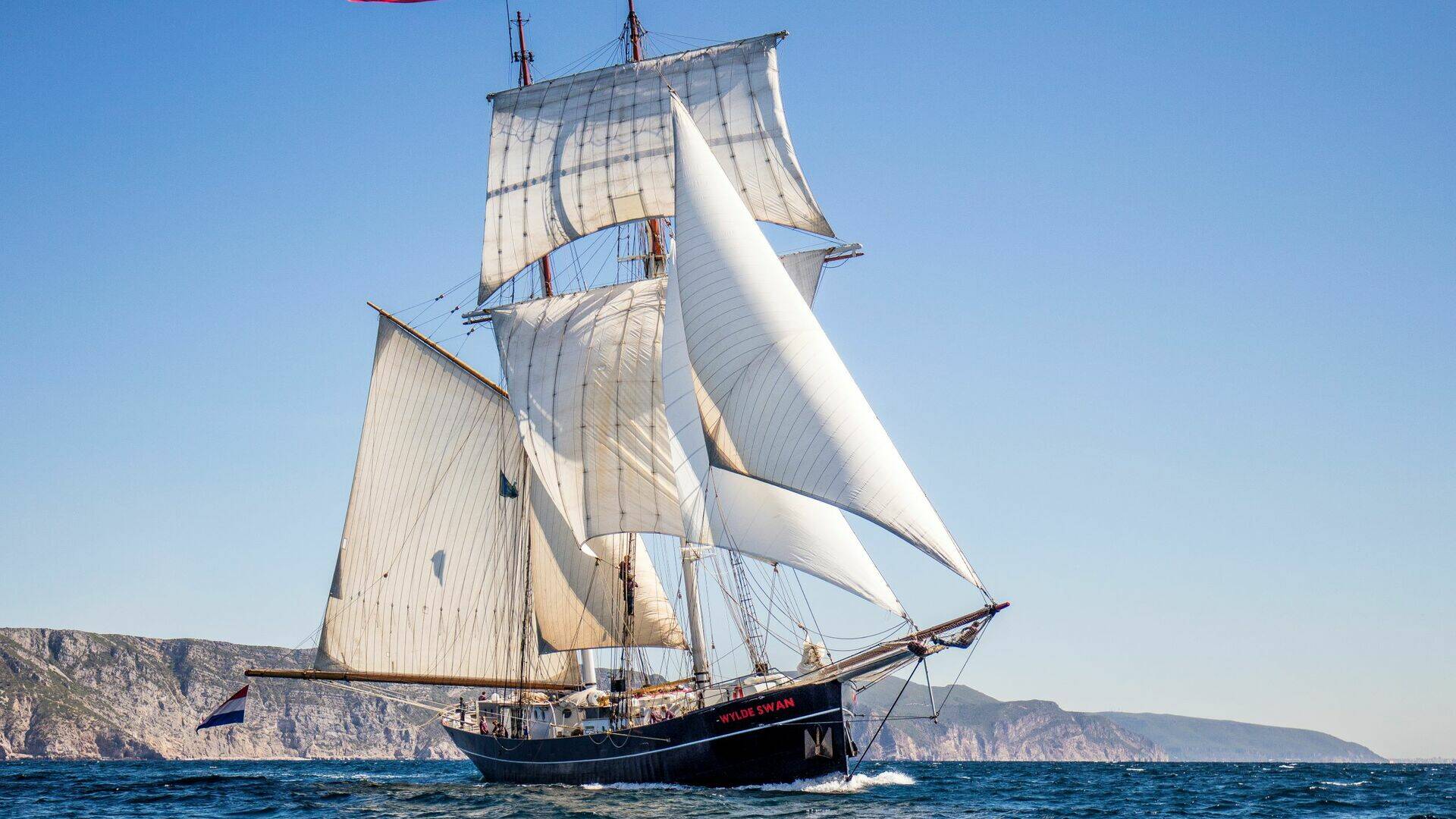wylde swan
