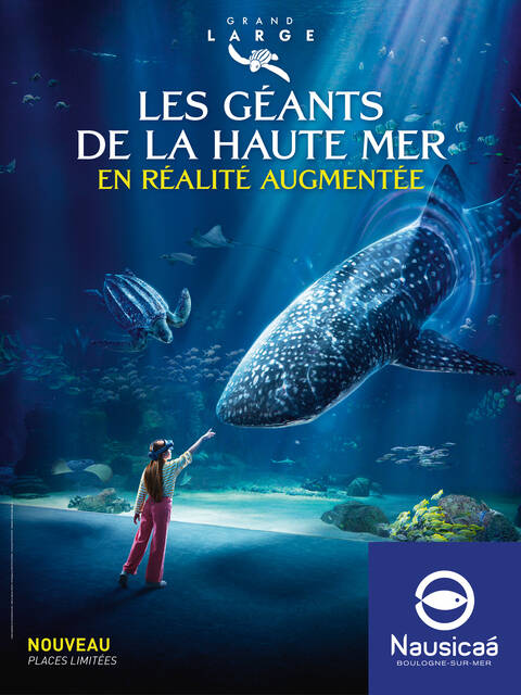 affiche grand large