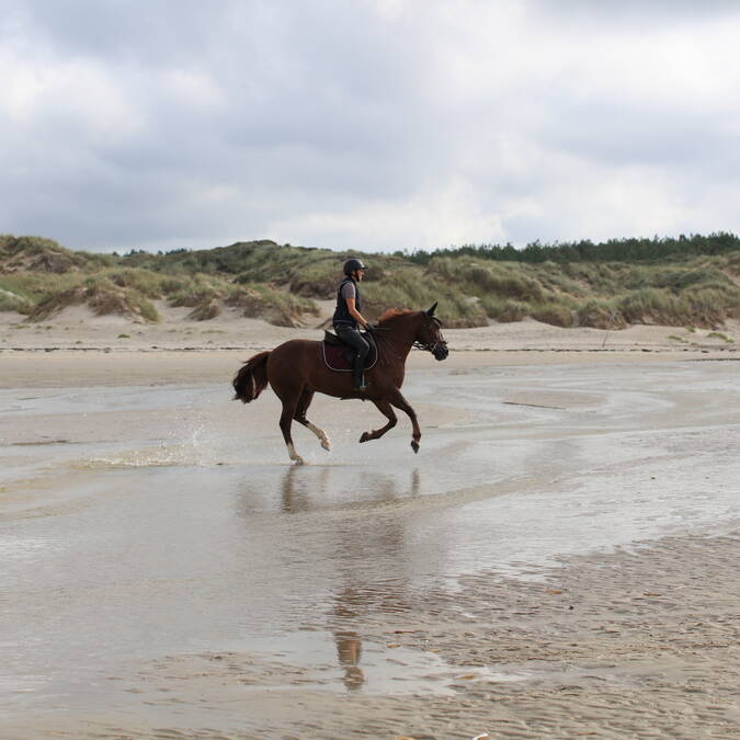 Sur la plage d'Hardelot